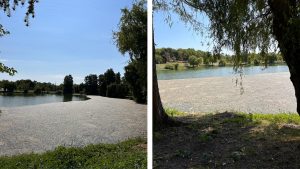 MIZERABIL: Apa de la marginea lacului din Parcul Tineretului este invadată de mâzgă