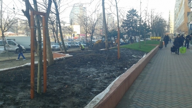 Negoiță amenajeaza spații verzi de lux