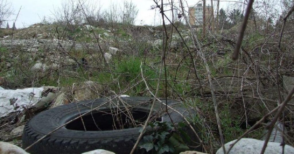 Ședința Consiliului Local al Sectorului 2 – Proprietarii care nu au terenurile întreținute vor plăti amenzi uriașe