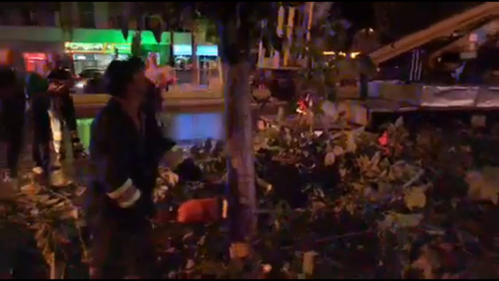 VIDEO. Băluță taie copacii după bunul plac, protejat de bodyguarzi.