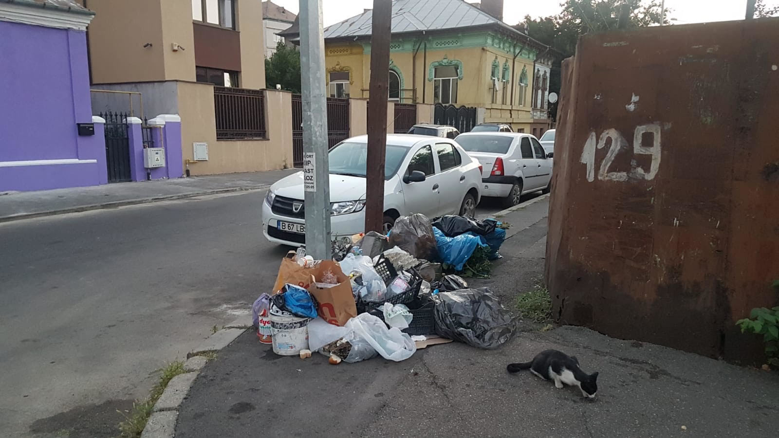 Sectorul 3 al Capitalei, condus de edilul Robert Negoitã, este sub asaltul gunoaielor. 