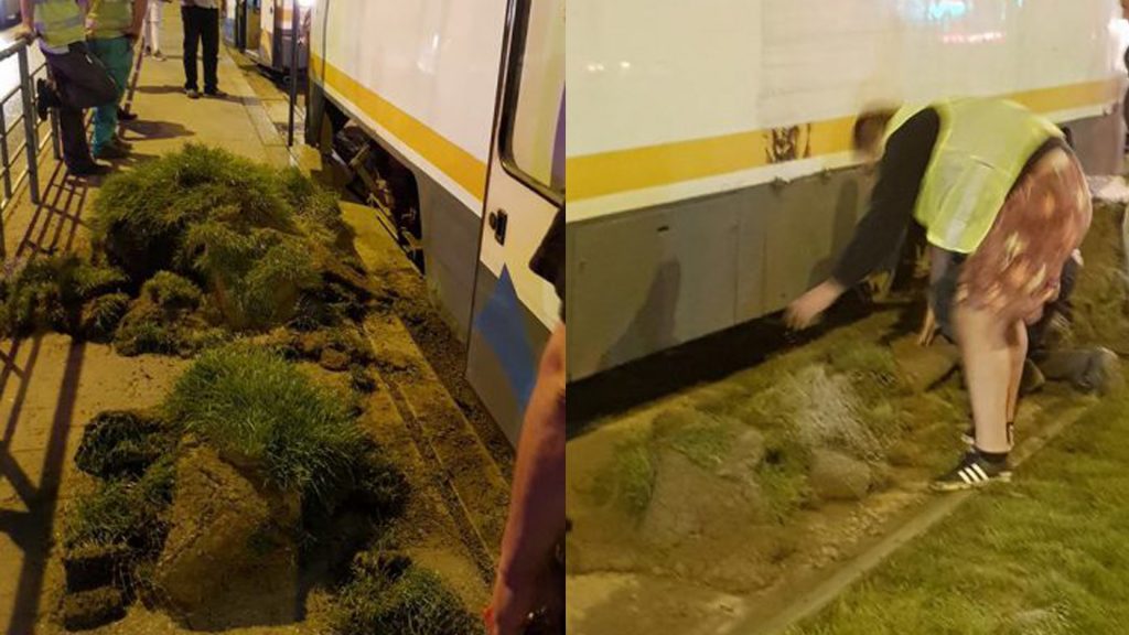 Primarul zero al Sectorului 5 al Capitalei, Daniel Florea, a cumpărat iarbă de lux