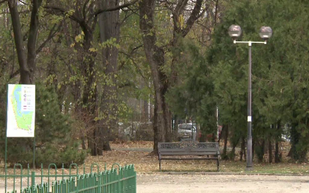 52,2 milioane de lei pentru becuri și camere video în Parcul Regele Mihai I (parcul Herăstrău)