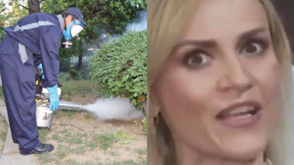 Firea a pus o firma cu zero angajați în 2018 să se lupte cu tânțarii