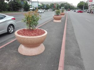 Băluță a cumpărat jardiniere de lux în care plantează câteva bețe