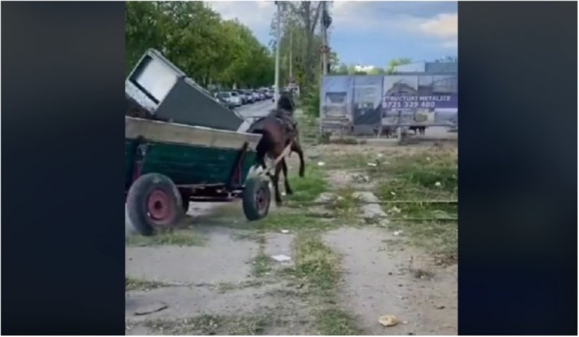 poliția locală