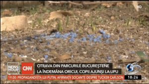 Pericol în parcurile din Capitală! Mai mulți copii au ajuns la medic după ce s-au intoxicat în parc!